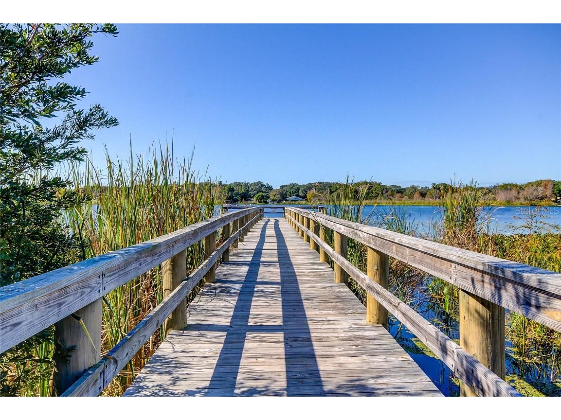 2221 Swedish Drive #3 Clearwater FL 33763 TB8418597 image59