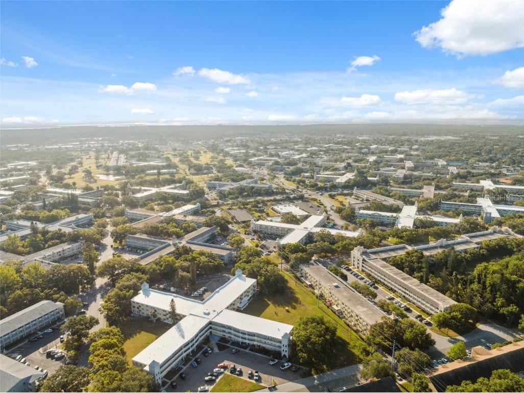 2221 Swedish Drive #55 Clearwater FL 33763 TB8457502 image39