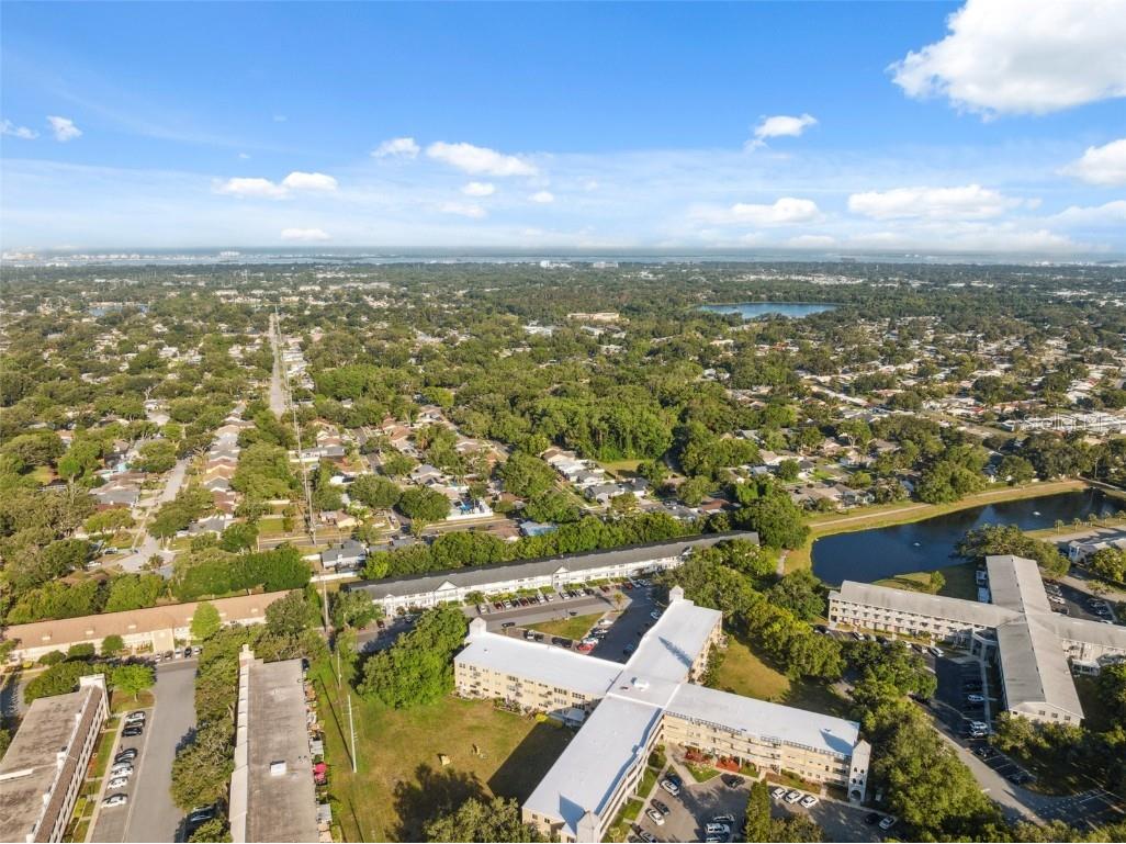 2221 Swedish Drive #55 Clearwater FL 33763 TB8457502 image43