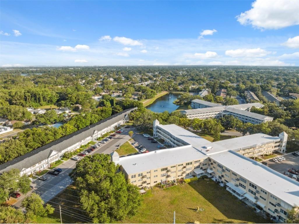 2221 Swedish Drive #55 Clearwater FL 33763 TB8457502 image45