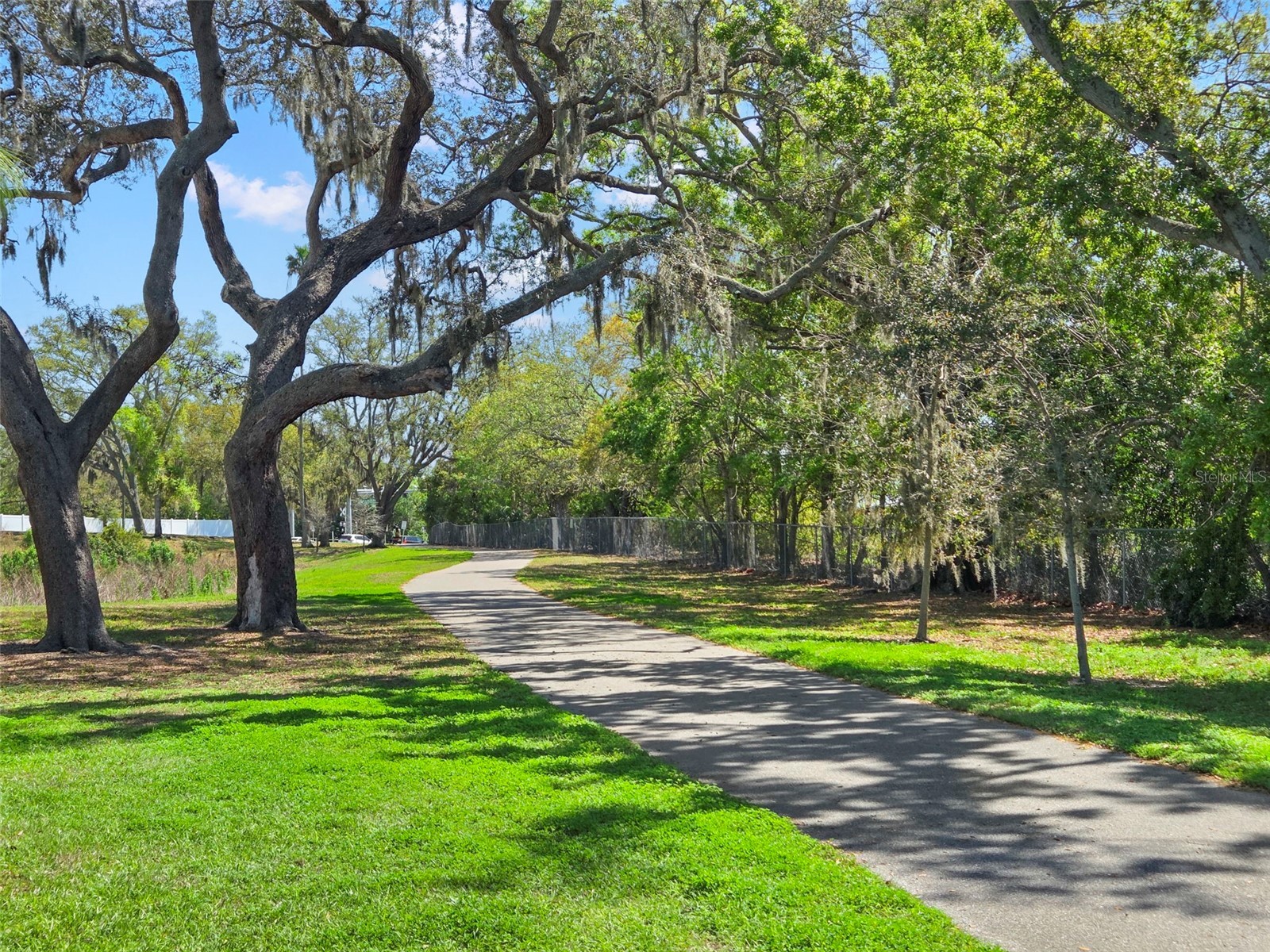 2221 Terrace Drive N Clearwater FL 33765 TB8484442 image50