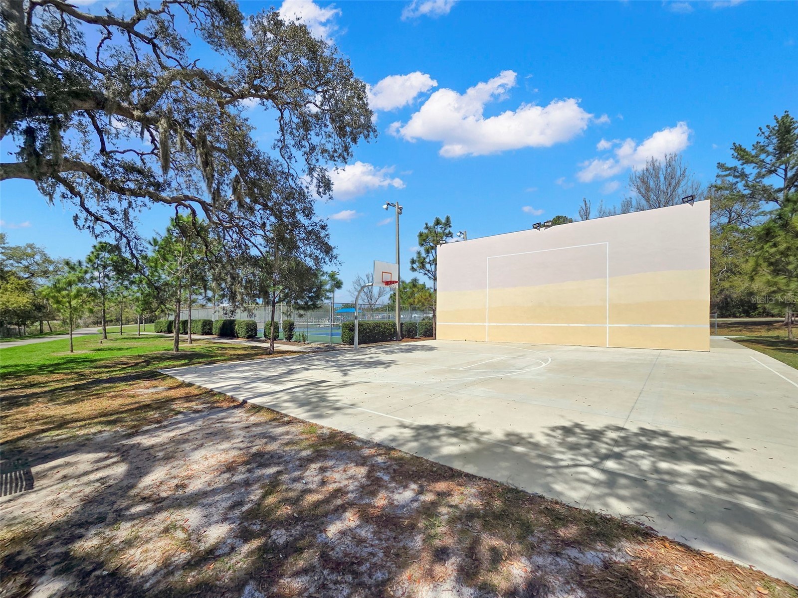 2221 Terrace Drive N Clearwater FL 33765 TB8484442 image51