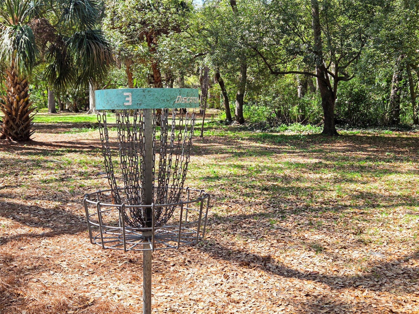 2221 Terrace Drive N Clearwater FL 33765 TB8484442 image52