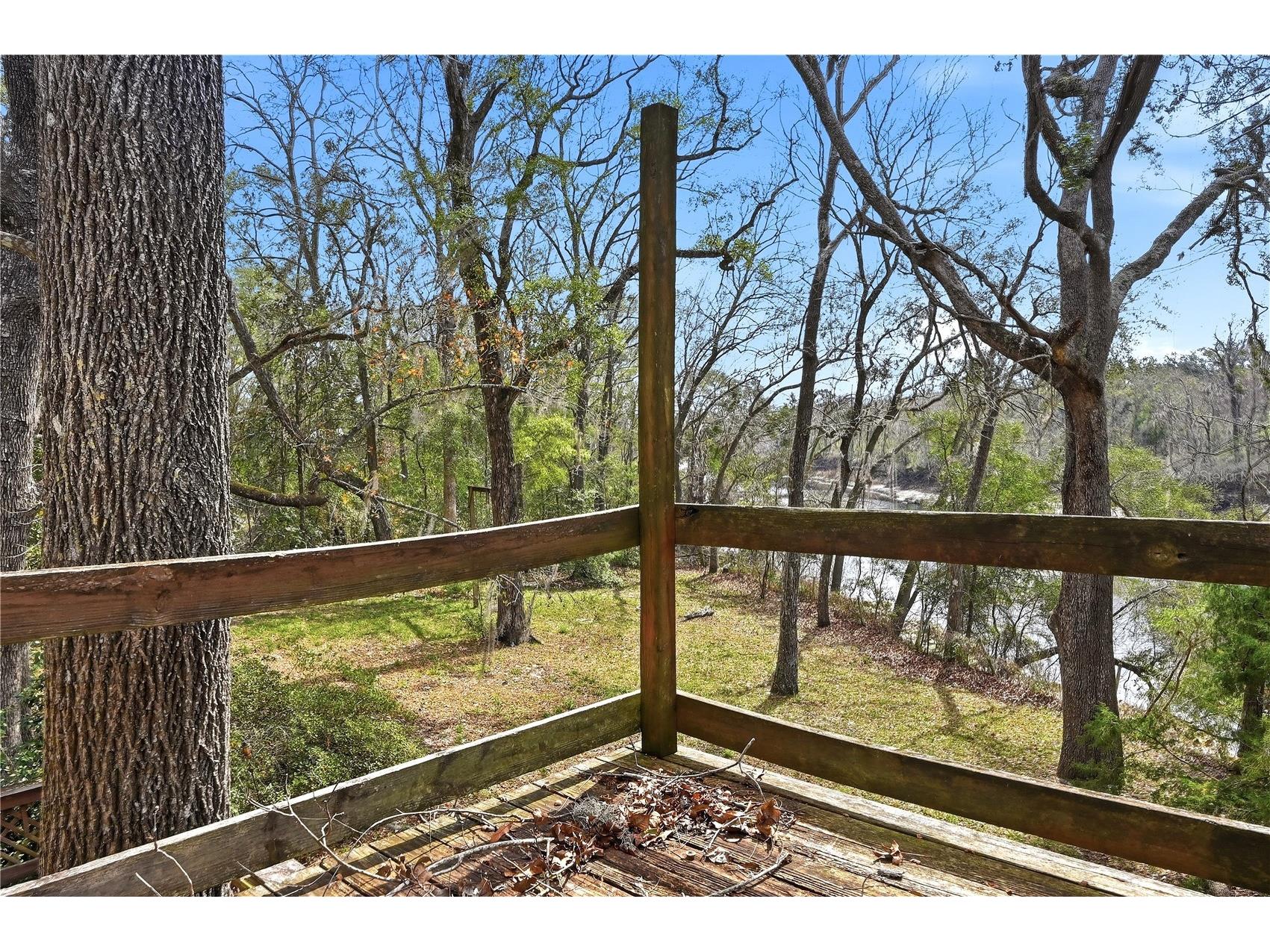 22215 135th Court O'Brien FL 32071 - SUWANNEE RIVER GC537966 image41