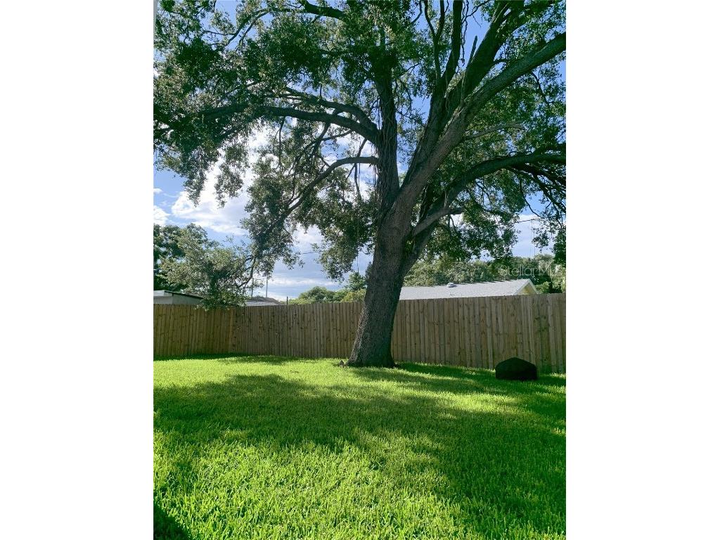 2222 E Clark Street Tampa FL 33605 TB8410553 image2