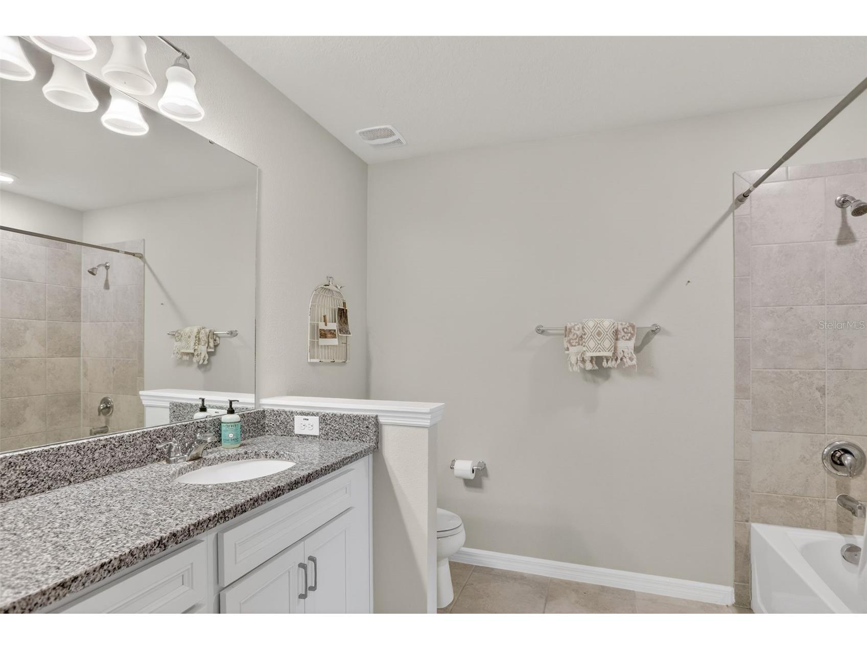 2222 Gopher Tortoise Terrace Oakland FL 34787 O6389233 image38