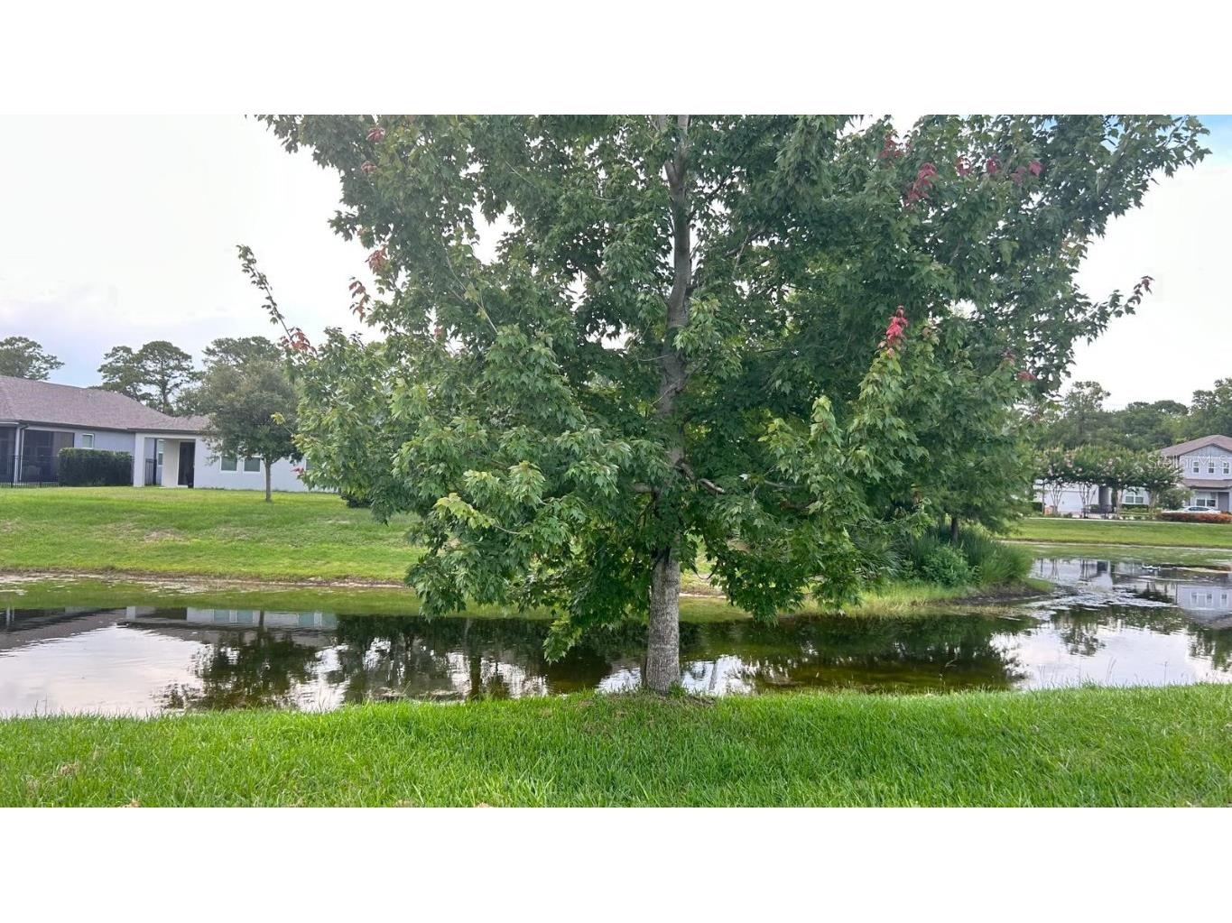 2222 Marsh Sedge Lane Winter Park FL 32792 - LAKE HOWELL O6333145 image36