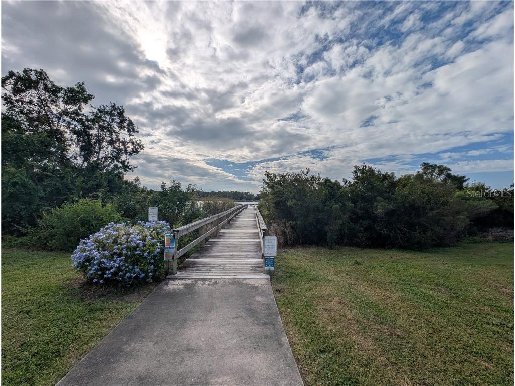 2222 Norwegian Drive #48 Clearwater FL 33763 - Arbor Lake TB8434276 image20