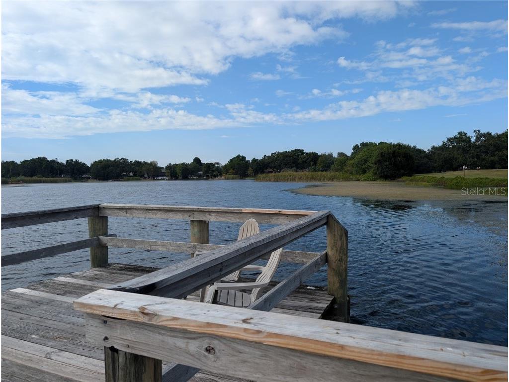 2222 Norwegian Drive #48 Clearwater FL 33763 - Arbor Lake TB8434276 image23