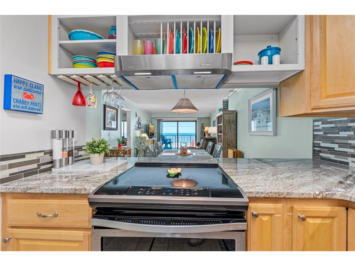 2222 Ocean Shore Boulevard #201B Ormond Beach FL 32176 NS1084632 image16