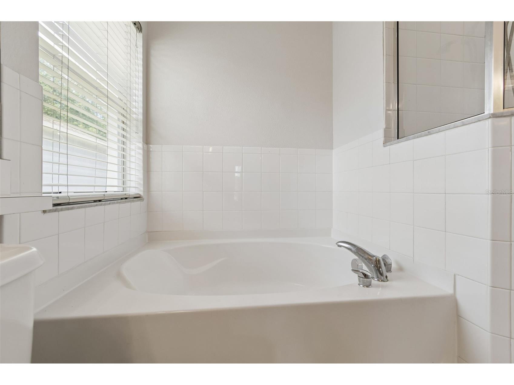 2222 Roanoke Springs Drive Ruskin FL 33570 TB8504660 image17