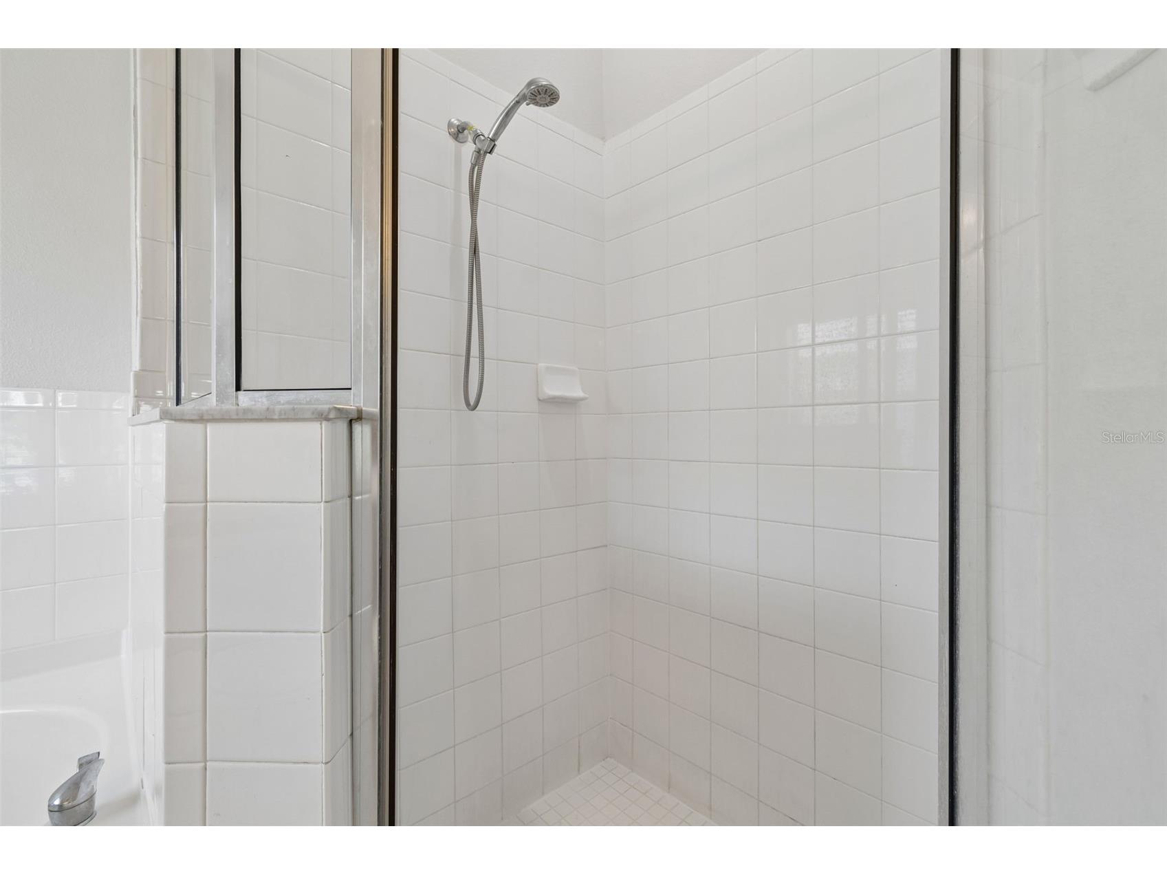 2222 Roanoke Springs Drive Ruskin FL 33570 TB8504660 image19