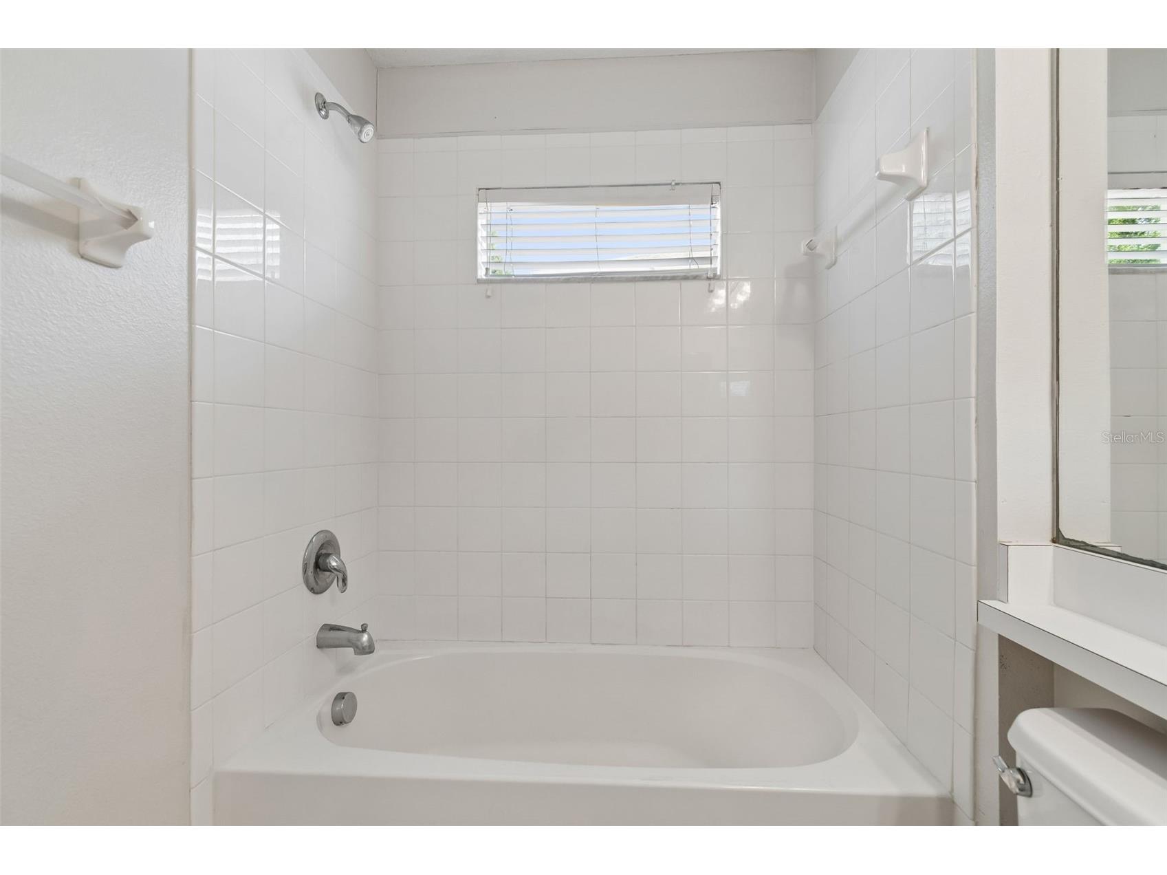 2222 Roanoke Springs Drive Ruskin FL 33570 TB8504660 image26