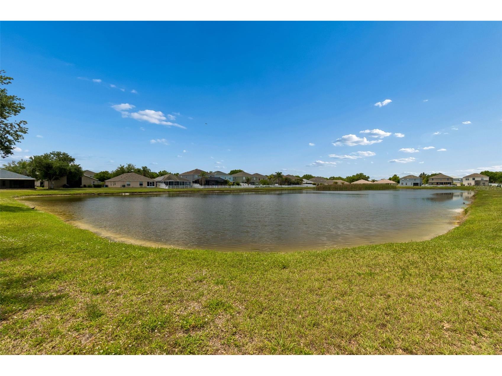 2222 Roanoke Springs Drive Ruskin FL 33570 TB8504660 image37