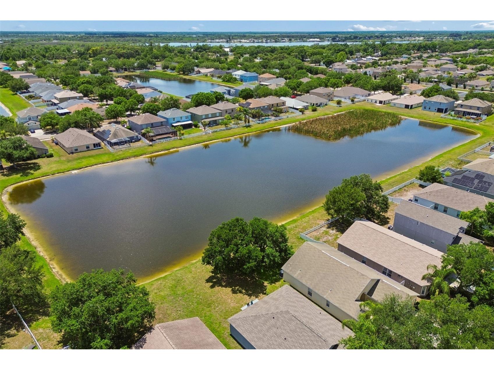2222 Roanoke Springs Drive Ruskin FL 33570 TB8504660 image41