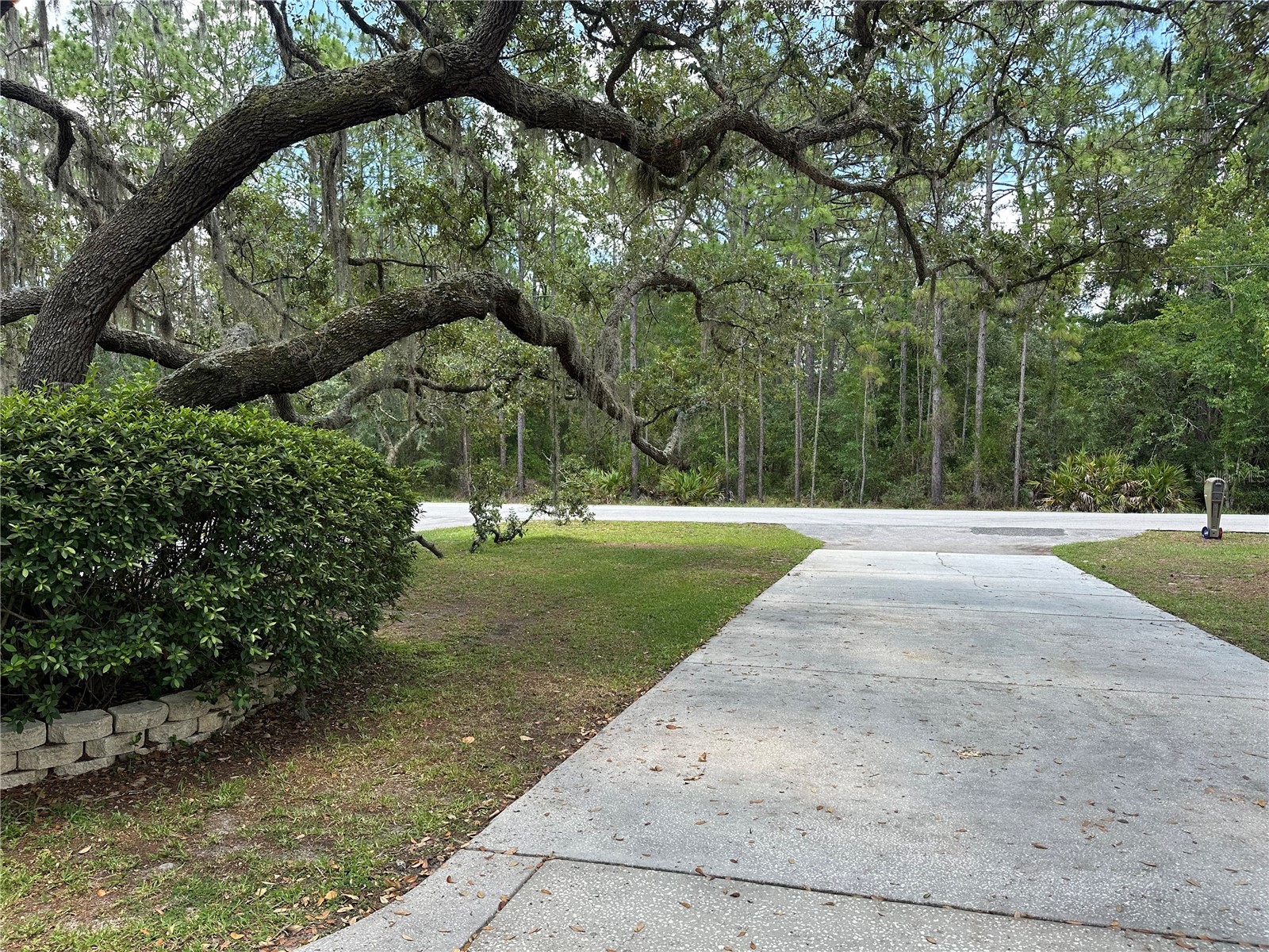 2222 S Bolton Avenue Homosassa FL 34448 TB8518964 image54