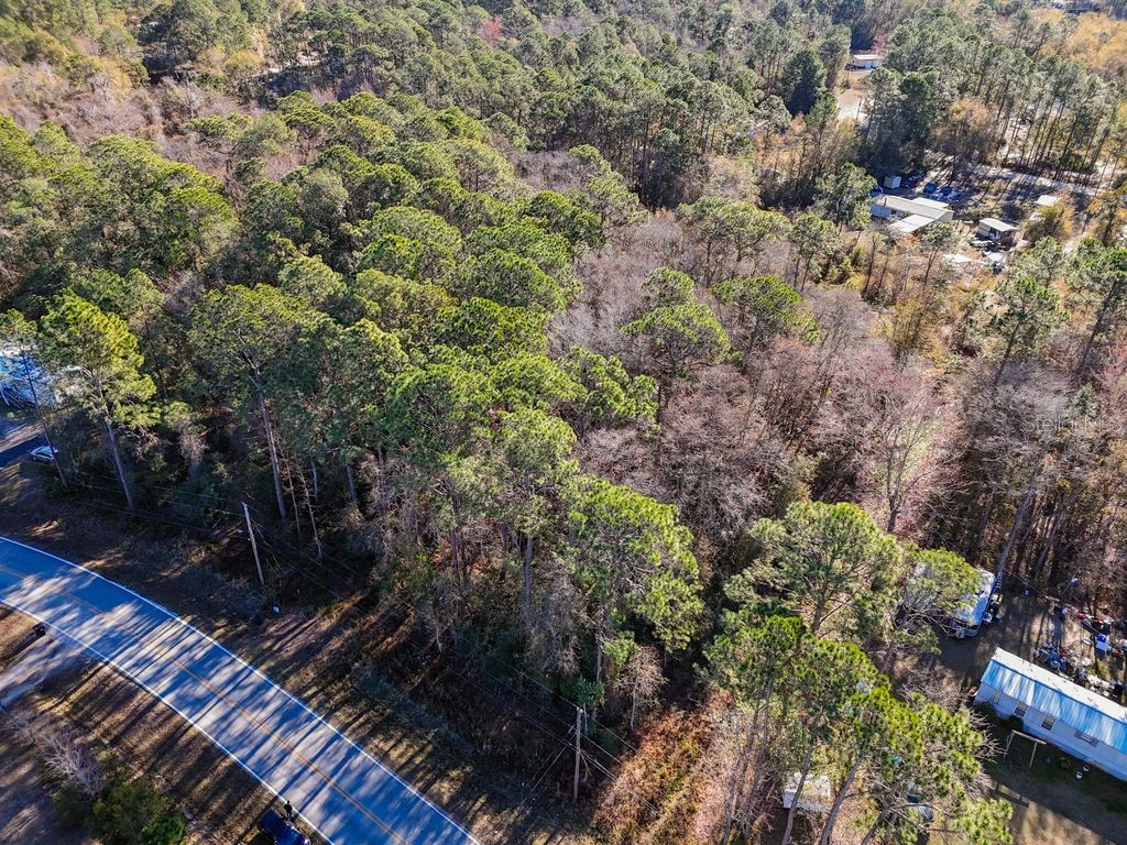 2223 Cosmos Avenue Middleburg FL 32068 O6377177 image12
