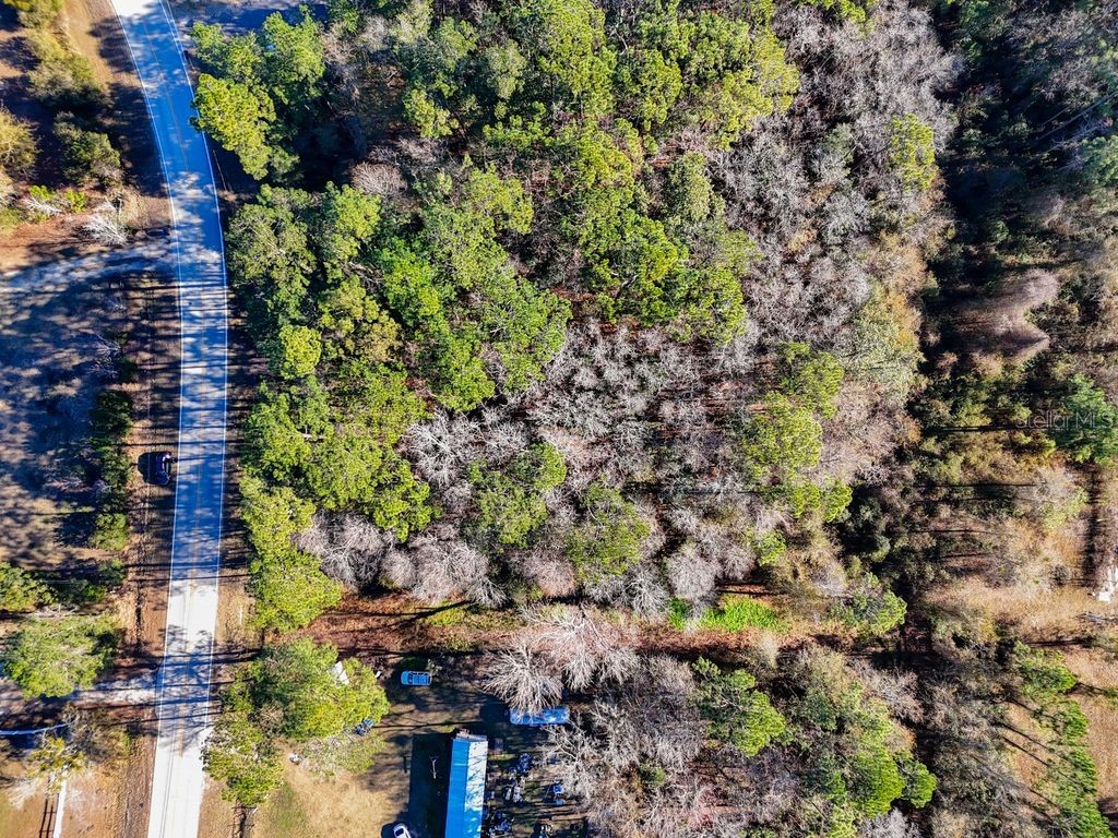 2223 Cosmos Avenue Middleburg FL 32068 O6377177 image13