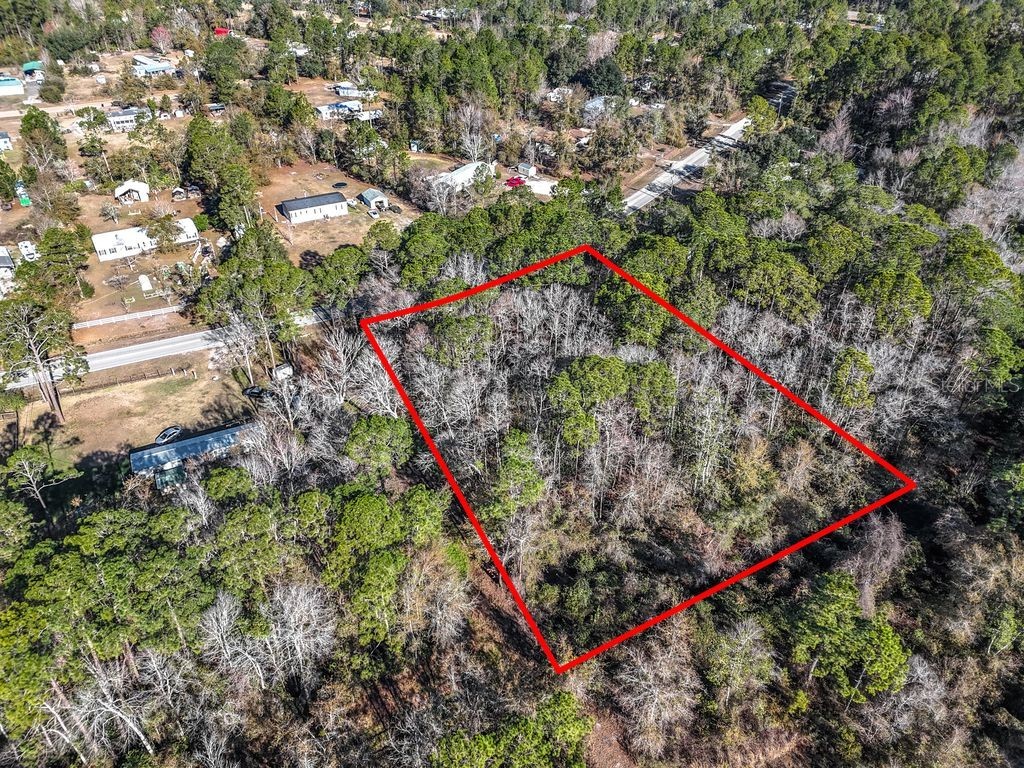 2223 Cosmos Avenue Middleburg FL 32068 O6377177 image2