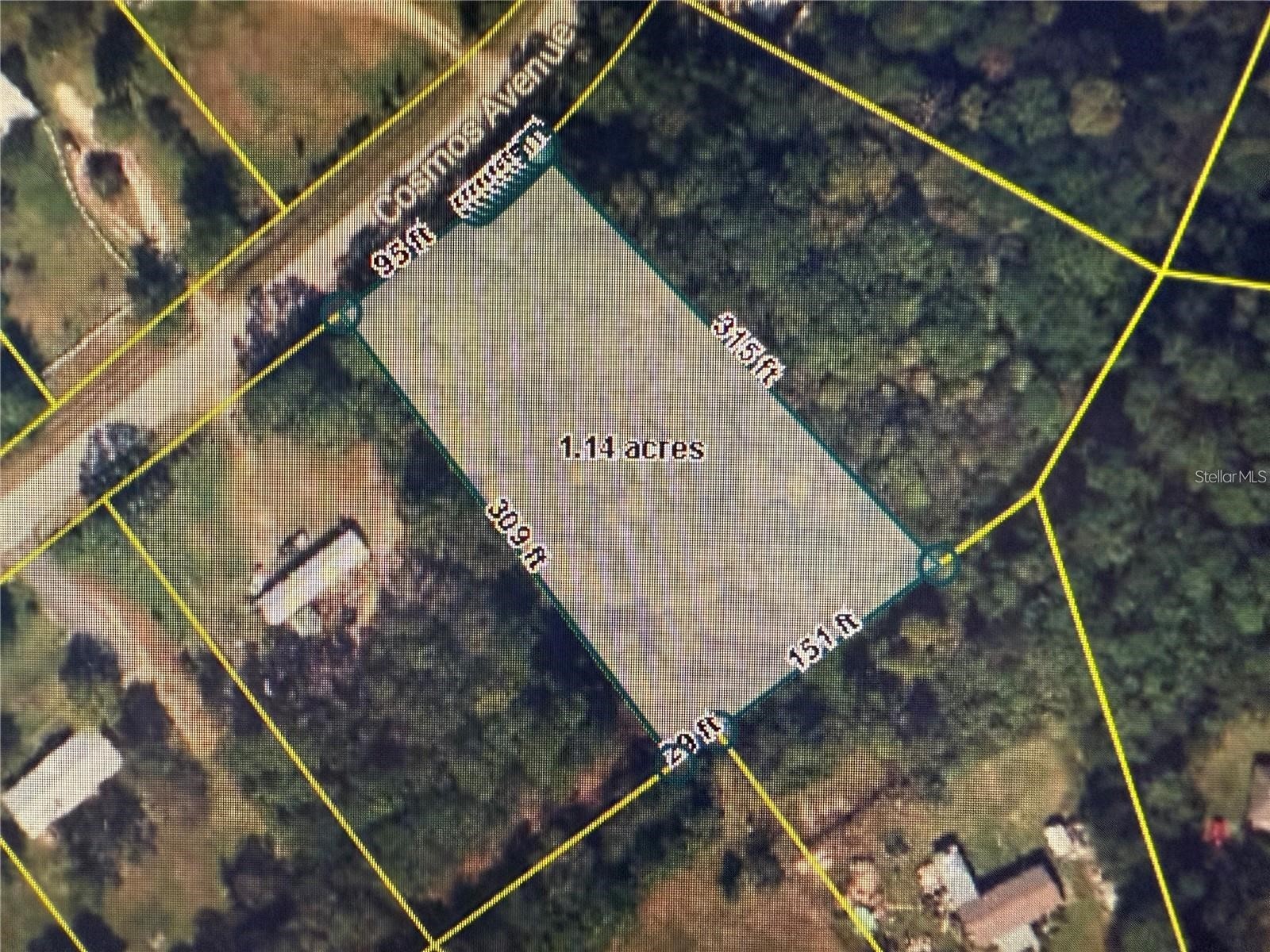 2223 Cosmos Avenue Middleburg FL 32068 O6377177 image3