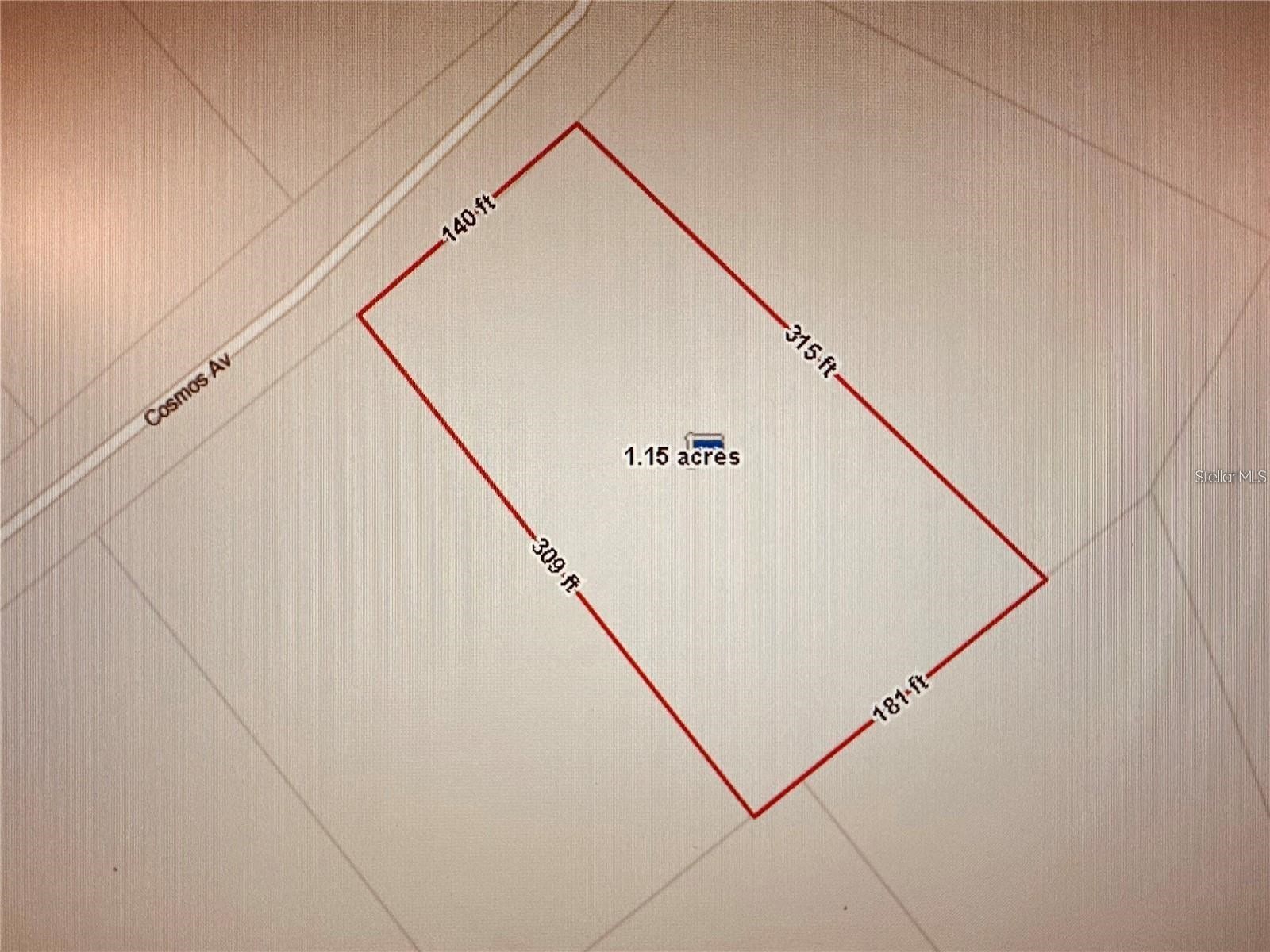 2223 Cosmos Avenue Middleburg FL 32068 O6377177 image4