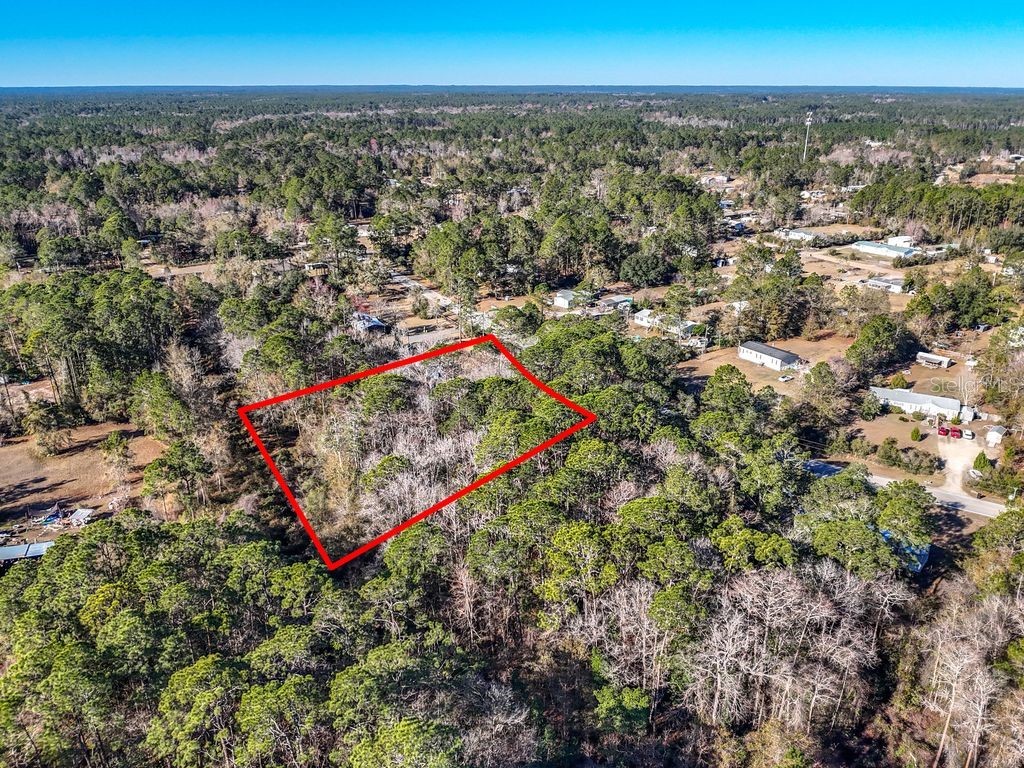 2223 Cosmos Avenue Middleburg FL 32068 O6377177 image5