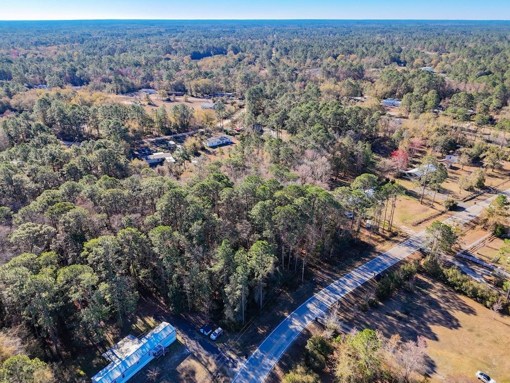 2223 Cosmos Avenue Middleburg FL 32068 O6377177 image8