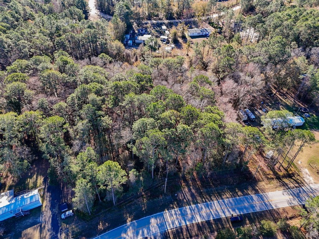 2223 Cosmos Avenue Middleburg FL 32068 O6377177 image9