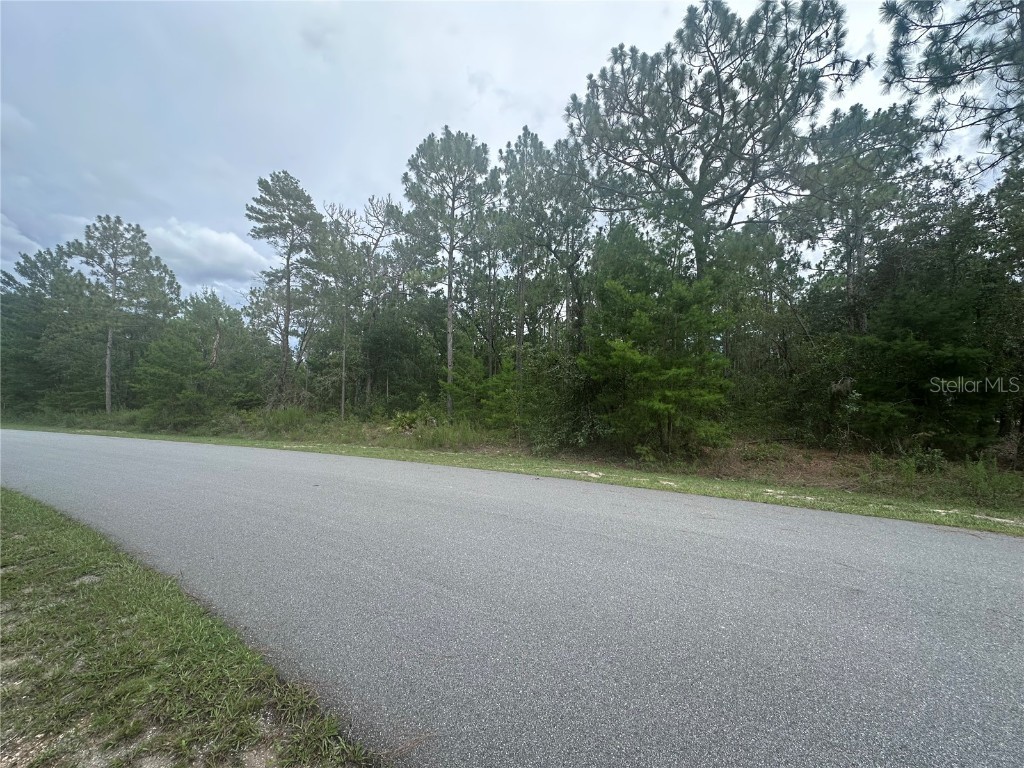 2223 Cr 243f Wildwood FL 34785 G5099673 image1