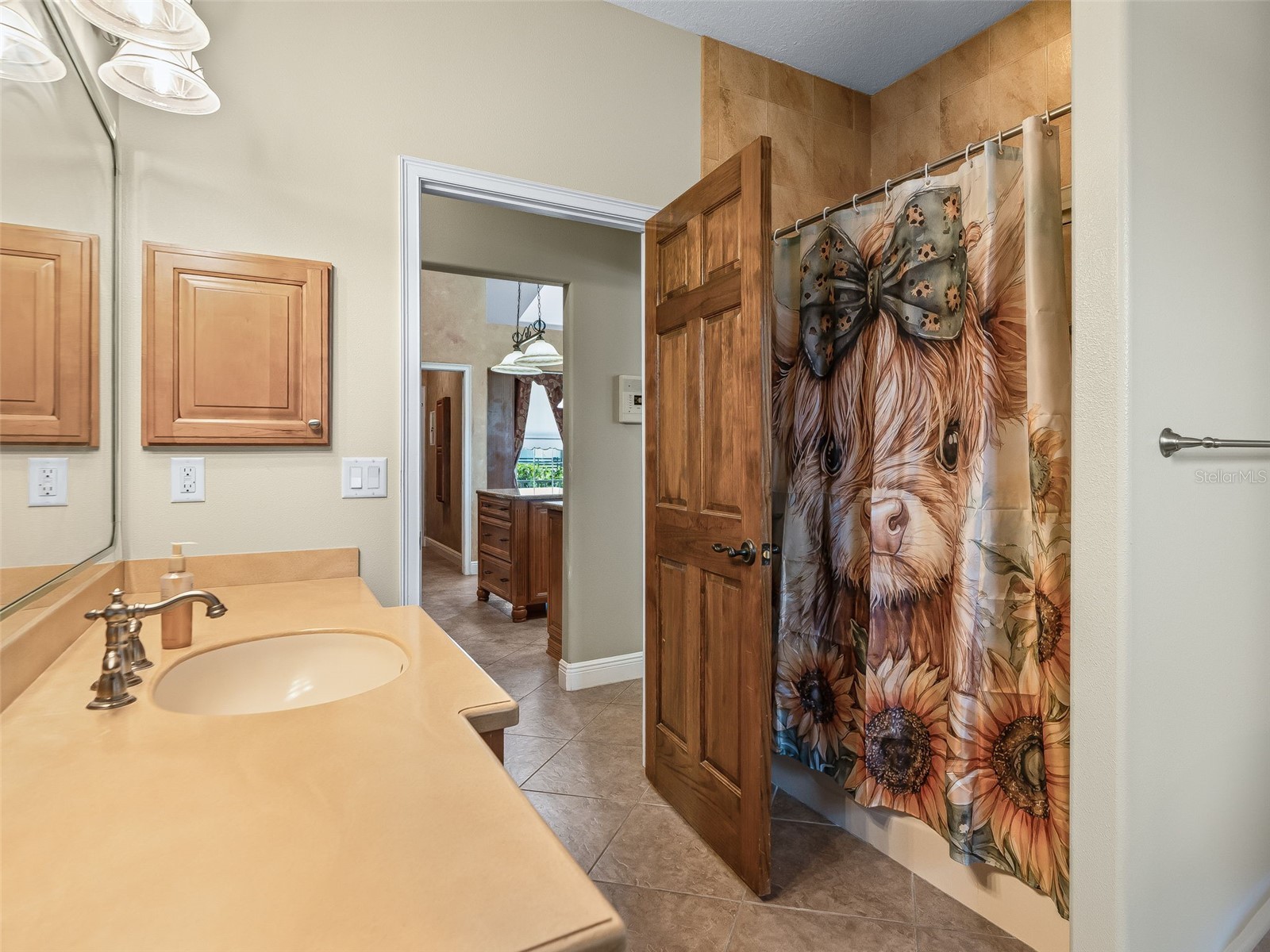 2223 Cr 543 Sumterville FL 33585 TB8513033 image33