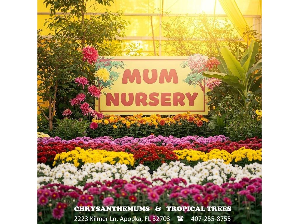 2223 Kilmer Lane Apopka FL 32703 O6314333 image13