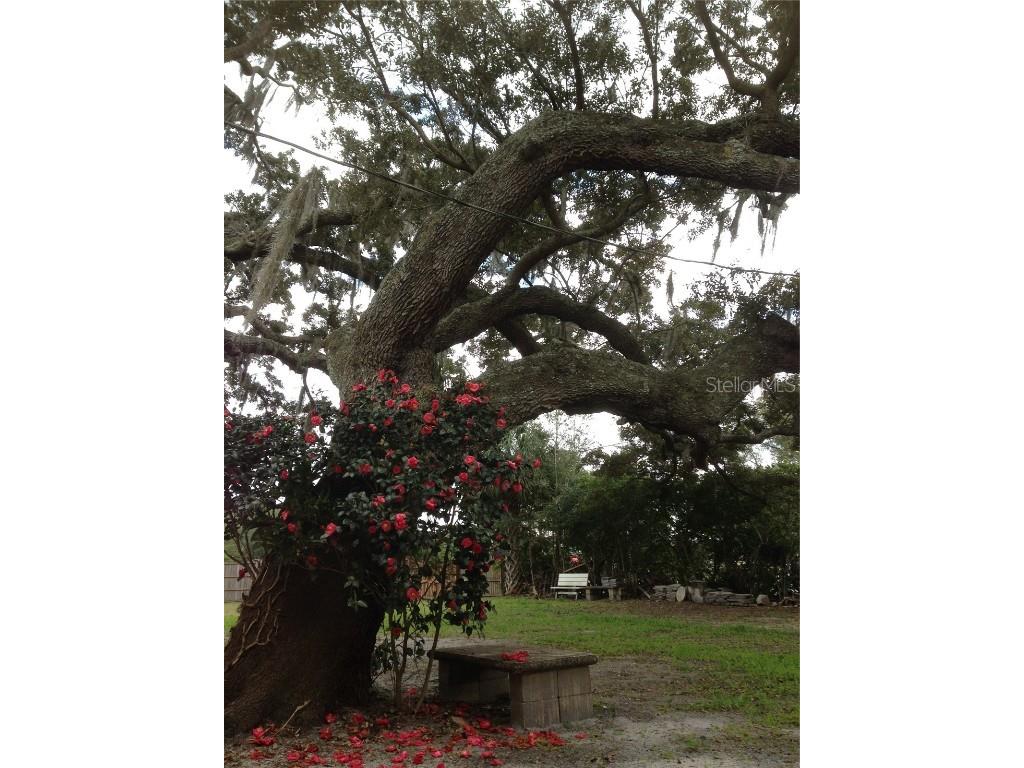 2223 Kilmer Lane Apopka FL 32703 O6314333 image2