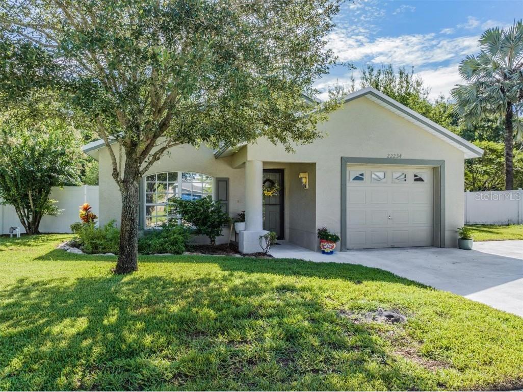 22234 Bell Harbor Drive Land O Lakes FL 34639 T3465726 image1