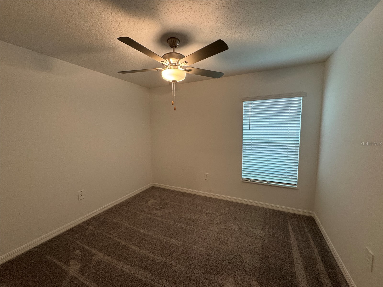 22238 Blazing Star Run Land O Lakes FL 34637 TB8494872 image17