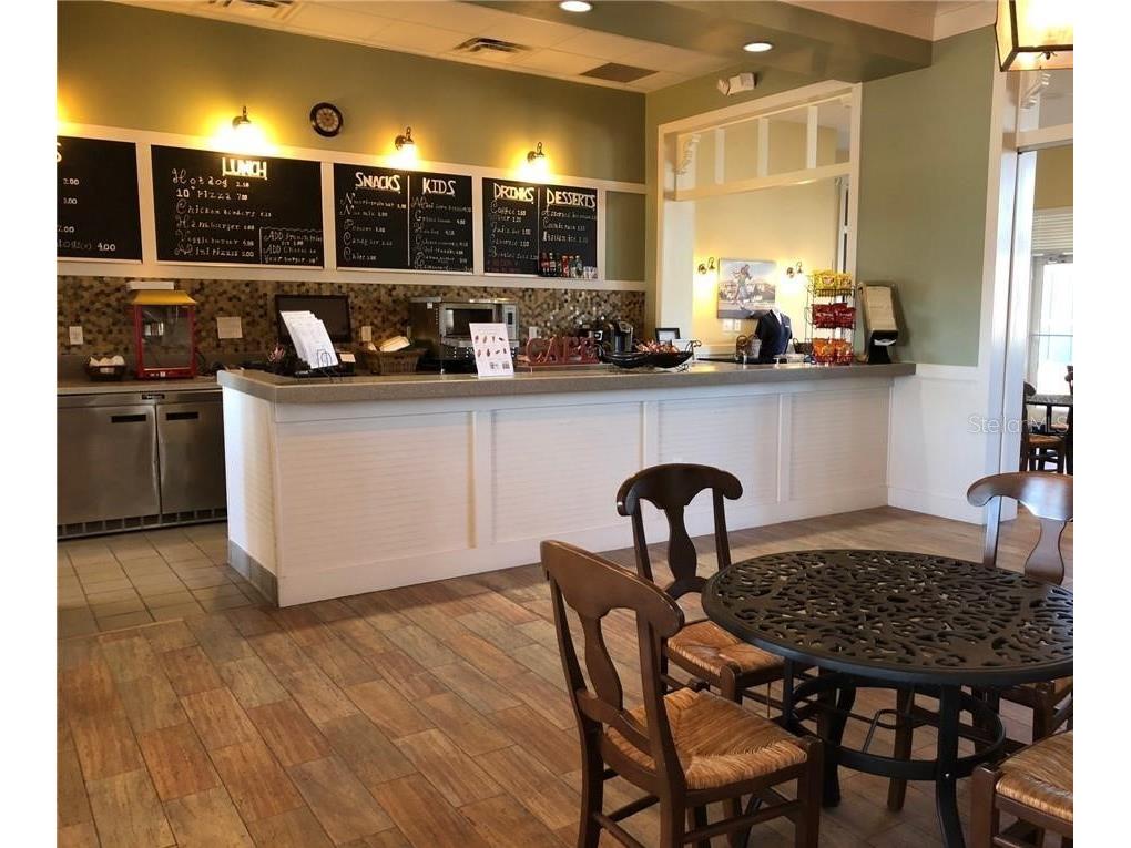 22238 Blazing Star Run Land O Lakes FL 34637 TB8494872 image30