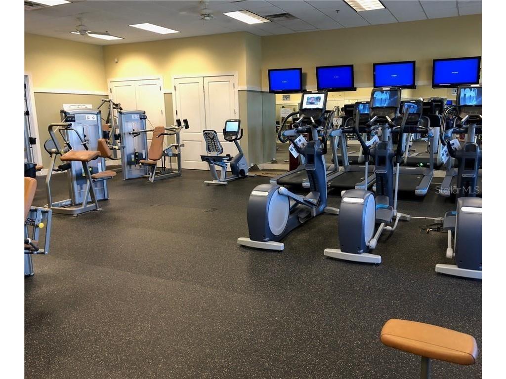 22238 Blazing Star Run Land O Lakes FL 34637 TB8494872 image31