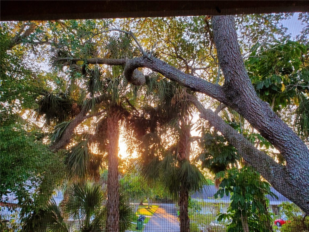 2224 Bahia Vista Street #E6 Sarasota FL 34239 A4645493 image33