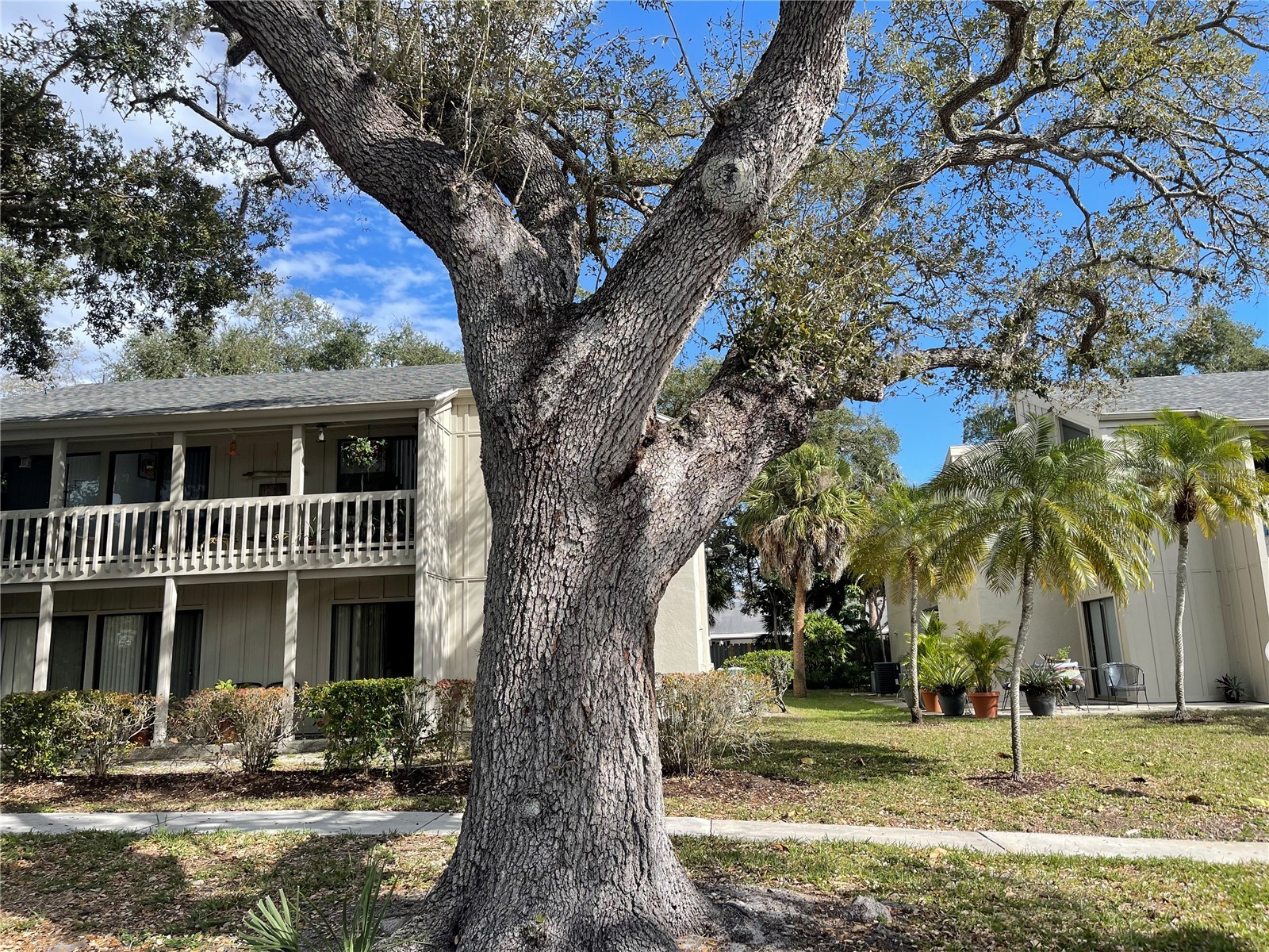 2224 Bahia Vista Street #E6 Sarasota FL 34239 A4695961 image1