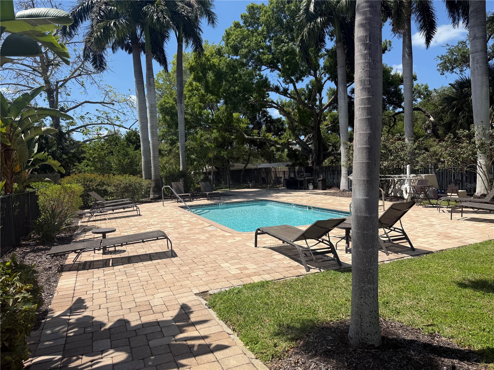 2224 Bahia Vista Street #E6 Sarasota FL 34239 A4695961 image38
