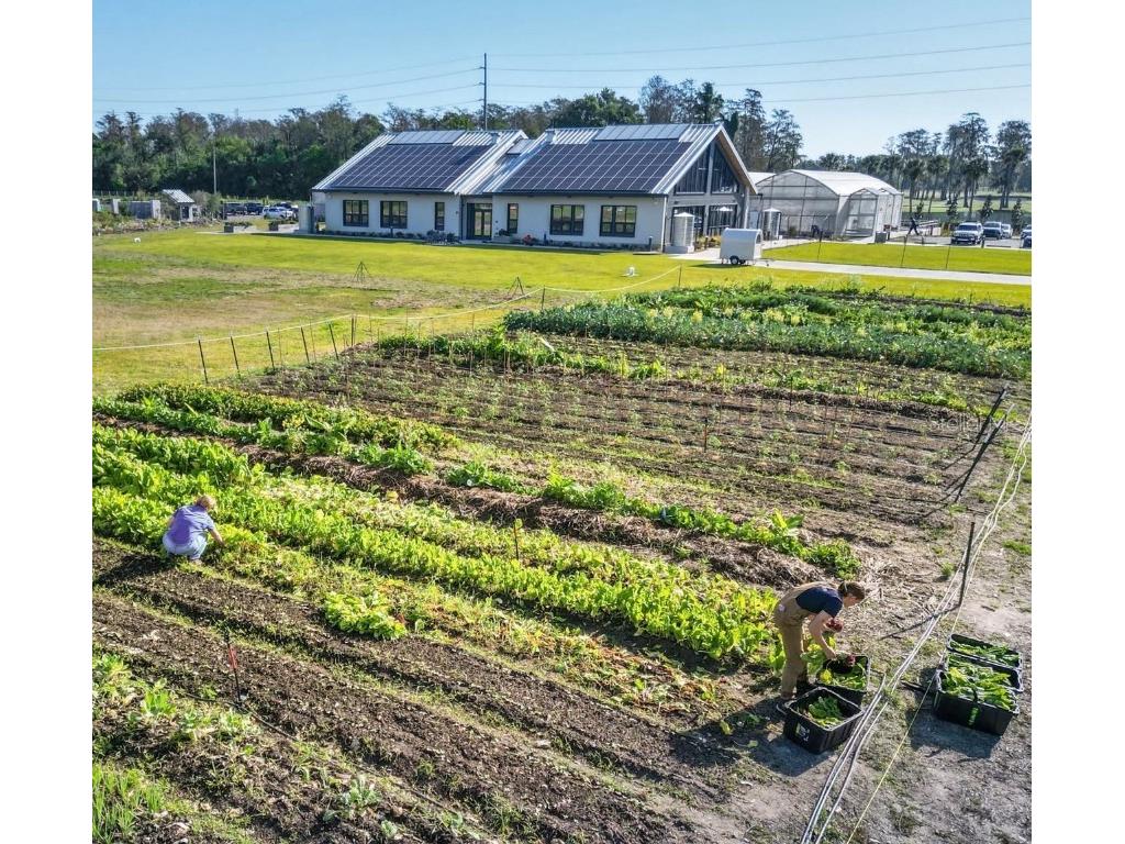 2224 Brix Street Orlando FL 32804 O6353817 image31