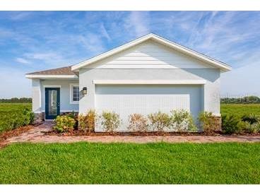 2224 Scenic Park Loop Wimauma FL 33598 W7879532 image1