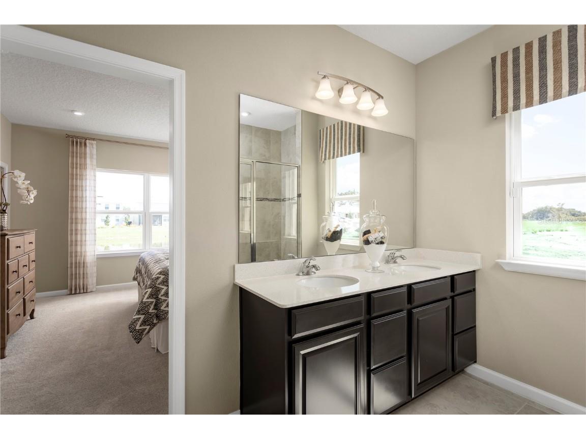 2224 Scenic Park Loop Wimauma FL 33598 W7879532 image11