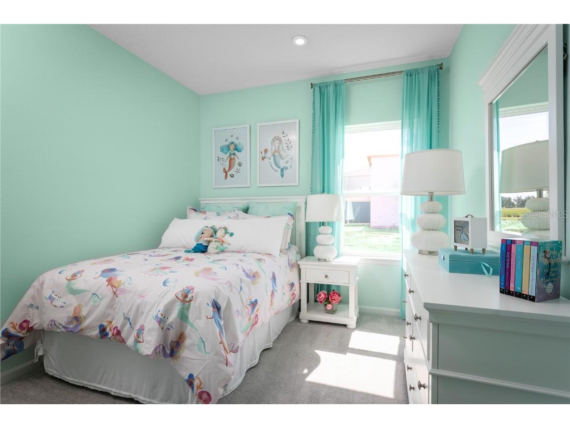 2224 Scenic Park Loop Wimauma FL 33598 W7879532 image13