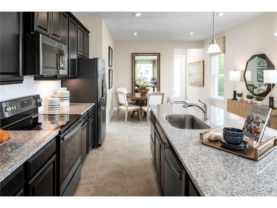 2224 Scenic Park Loop Wimauma FL 33598 W7879532 image2