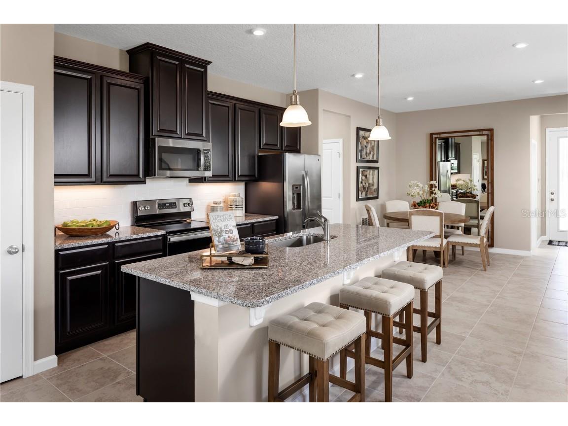 2224 Scenic Park Loop Wimauma FL 33598 W7879532 image3