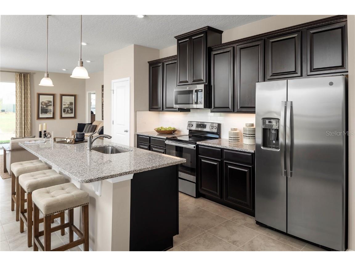 2224 Scenic Park Loop Wimauma FL 33598 W7879532 image4