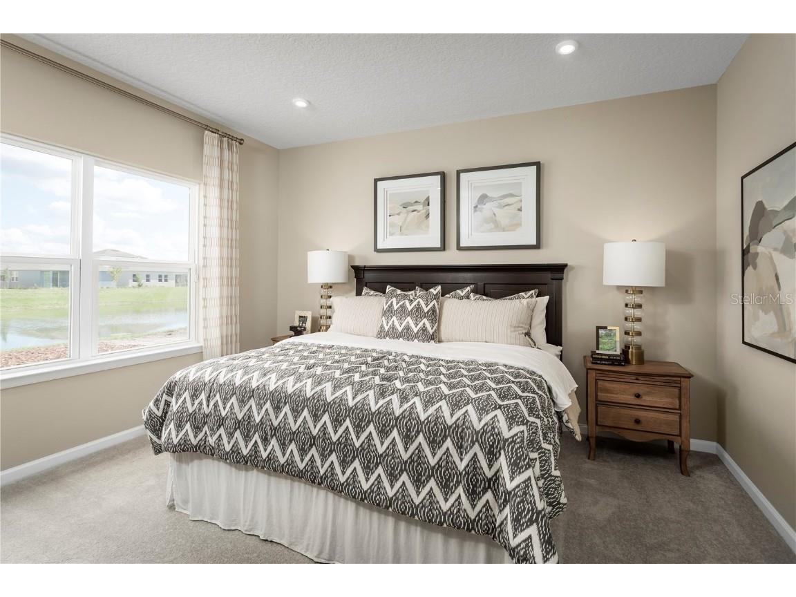 2224 Scenic Park Loop Wimauma FL 33598 W7879532 image9