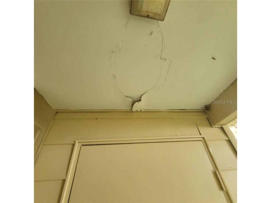 2224 SW 39th Drive Gainesville FL 32607 TB8445461 image4