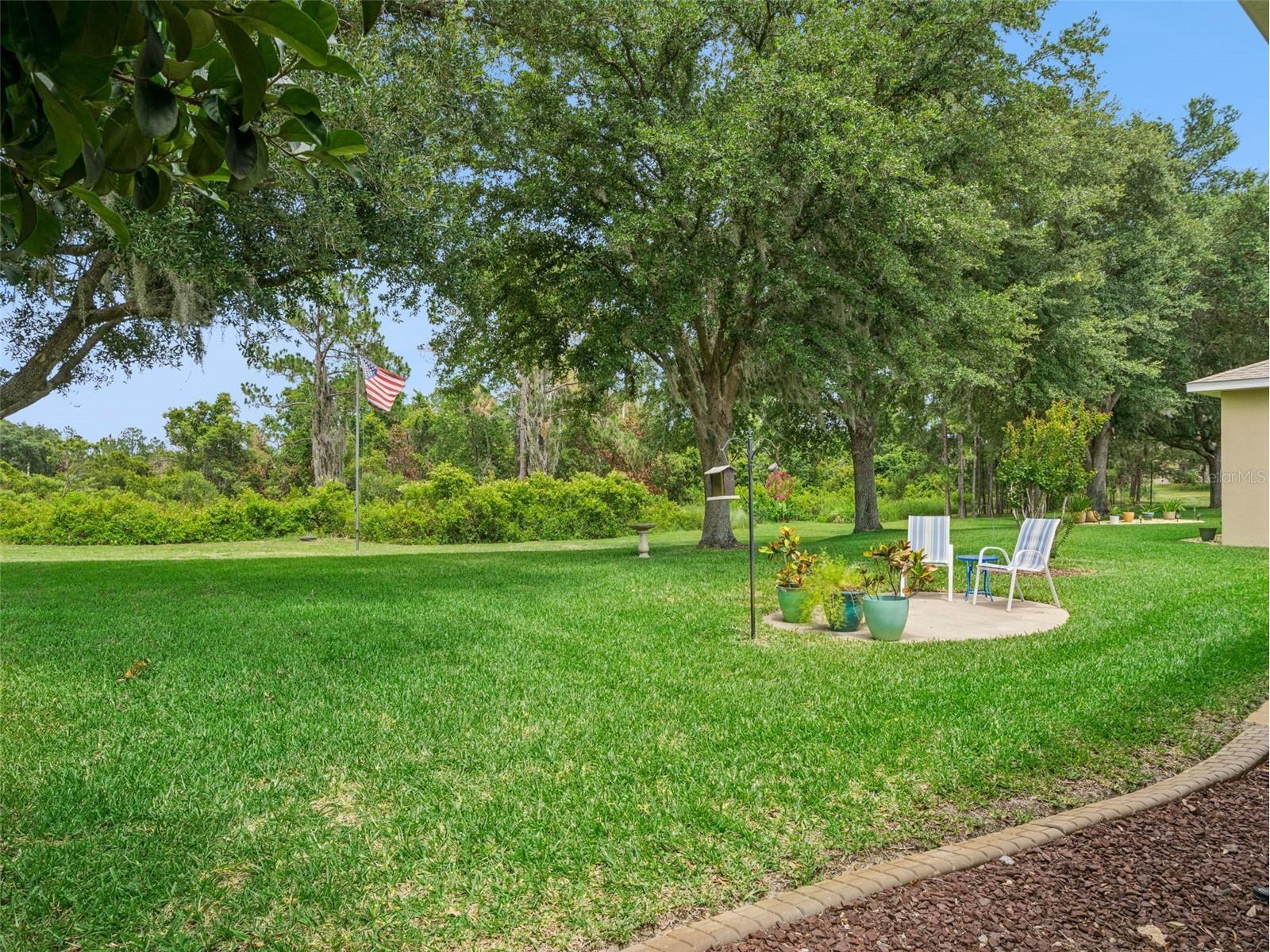 22240 Caledonia Drive Leesburg FL 34748 G5112932 image25
