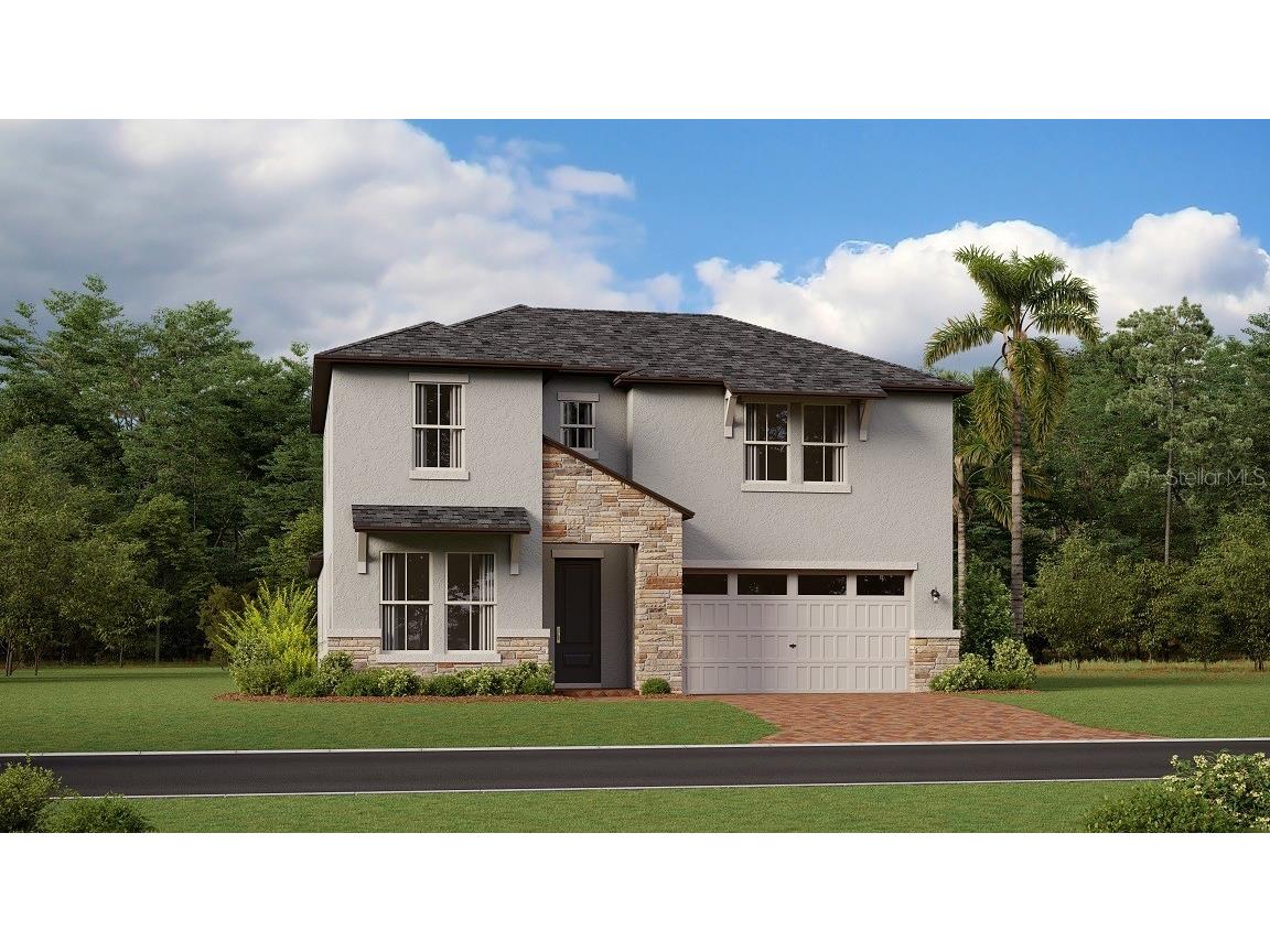 22248 Storybook Cabin Way Land O Lakes FL 34637 T3433030 image1